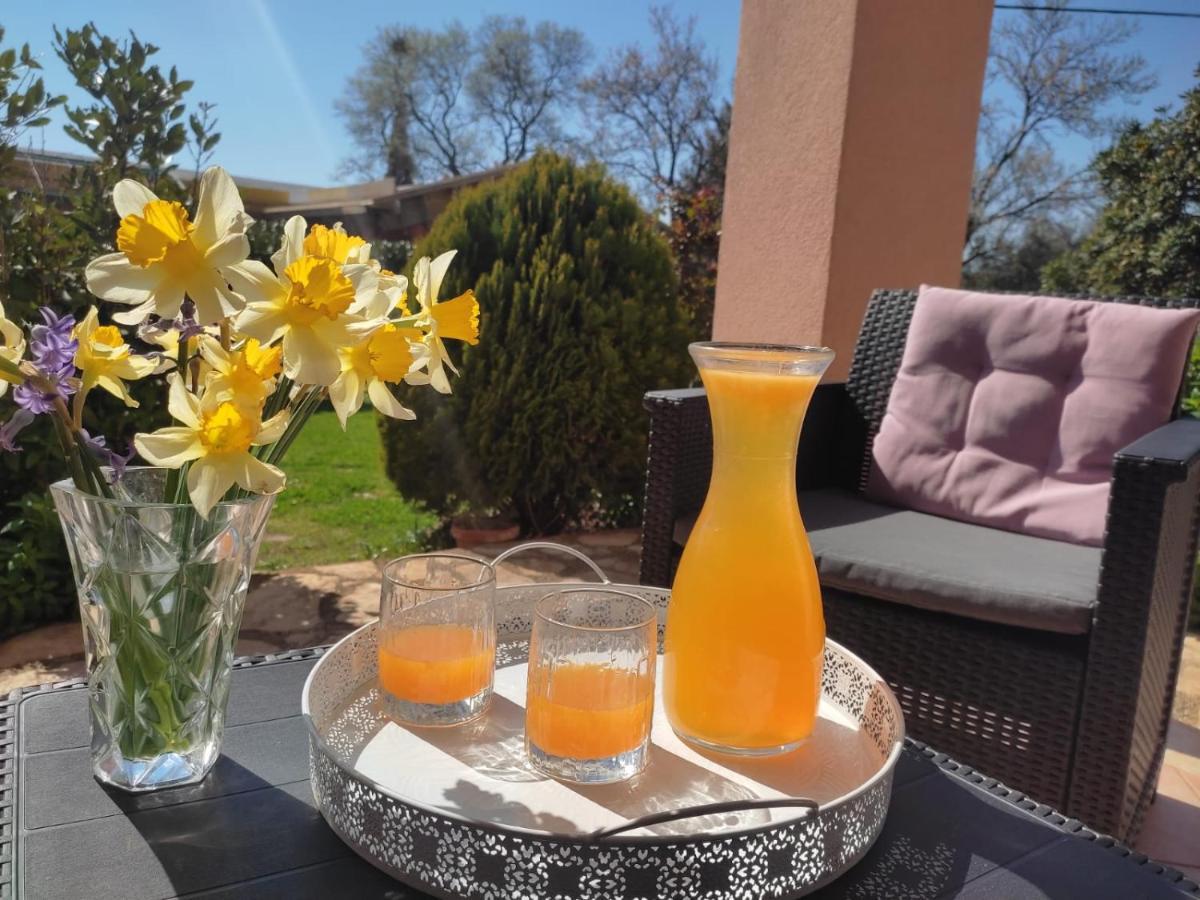 Casa Da Billy Apartment Пула Екстериор снимка